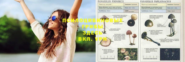 трава Абдулино