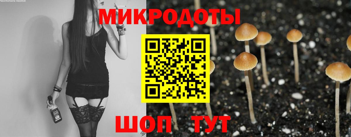Псилоцибиновые грибы Magic Shrooms  Псилоцибиновые грибы Psilocybe  Кашира  Вход с VPN 